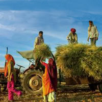 Agriculture Technology